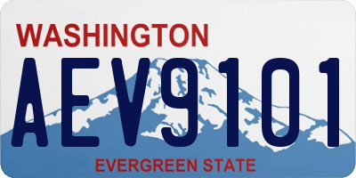 WA license plate AEV9101