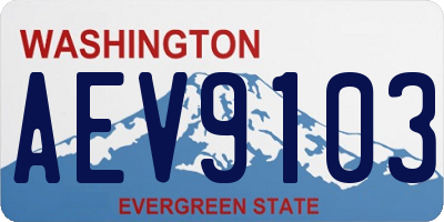 WA license plate AEV9103