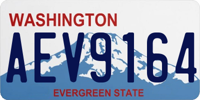WA license plate AEV9164