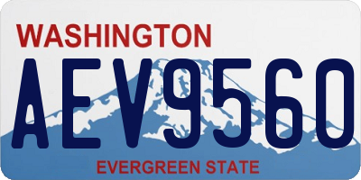 WA license plate AEV9560