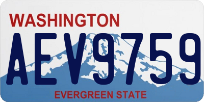 WA license plate AEV9759