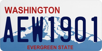 WA license plate AEW1901