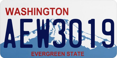 WA license plate AEW3019