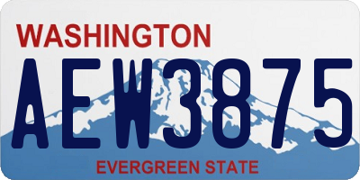 WA license plate AEW3875