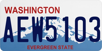 WA license plate AEW5103