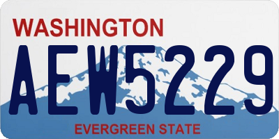 WA license plate AEW5229