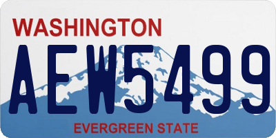 WA license plate AEW5499