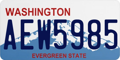 WA license plate AEW5985