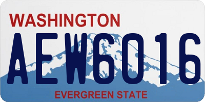 WA license plate AEW6016