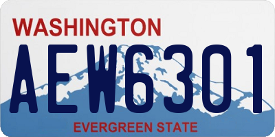 WA license plate AEW6301