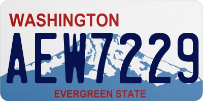 WA license plate AEW7229