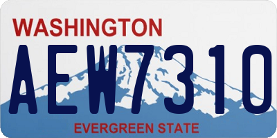 WA license plate AEW7310