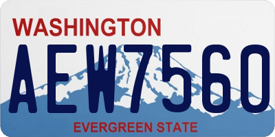 WA license plate AEW7560