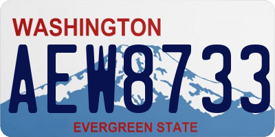 WA license plate AEW8733