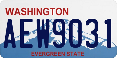 WA license plate AEW9031