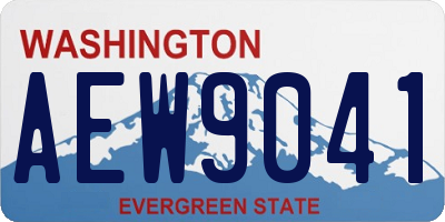 WA license plate AEW9041