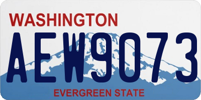 WA license plate AEW9073