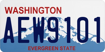 WA license plate AEW9101