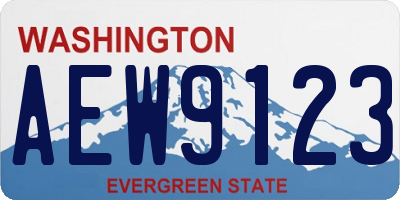 WA license plate AEW9123