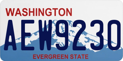 WA license plate AEW9230