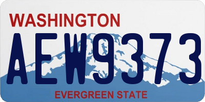 WA license plate AEW9373