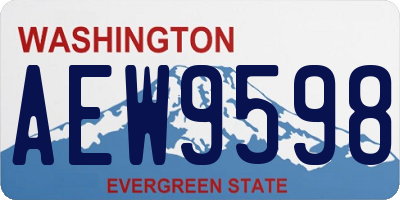 WA license plate AEW9598