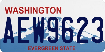 WA license plate AEW9623