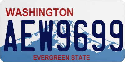 WA license plate AEW9699