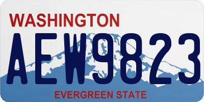 WA license plate AEW9823