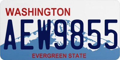 WA license plate AEW9855