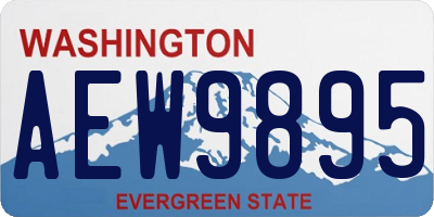 WA license plate AEW9895