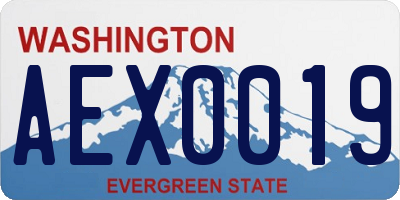 WA license plate AEX0019