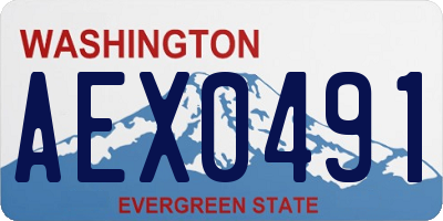 WA license plate AEX0491