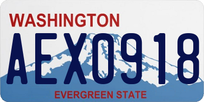 WA license plate AEX0918