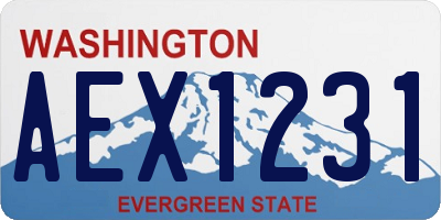 WA license plate AEX1231