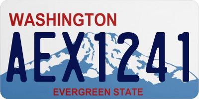 WA license plate AEX1241