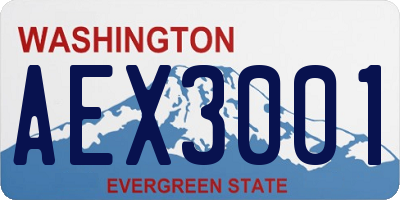 WA license plate AEX3001