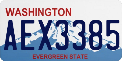 WA license plate AEX3385