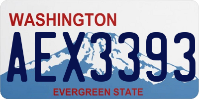 WA license plate AEX3393