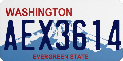 WA license plate AEX3614
