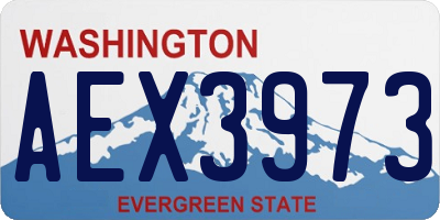 WA license plate AEX3973