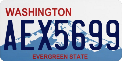 WA license plate AEX5699