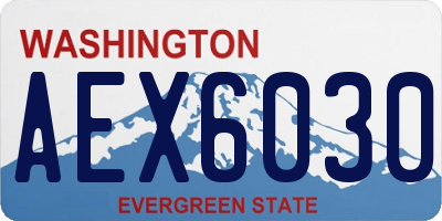 WA license plate AEX6030