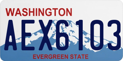 WA license plate AEX6103