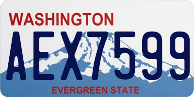 WA license plate AEX7599