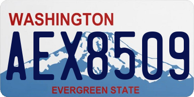WA license plate AEX8509