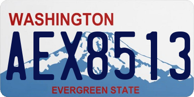 WA license plate AEX8513