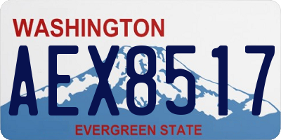 WA license plate AEX8517