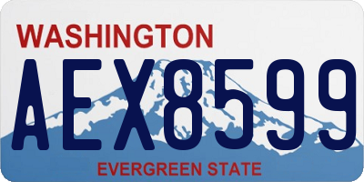 WA license plate AEX8599