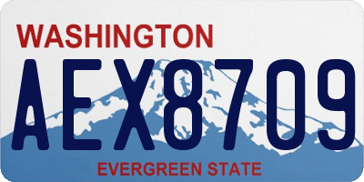 WA license plate AEX8709